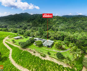 Rural / Farming commercial property for sale at 400 Dinner Creek Road Eubenangee QLD 4860