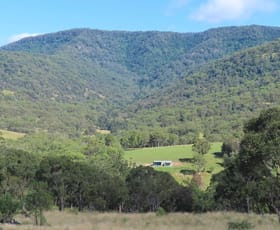 Rural / Farming commercial property for sale at 1060 Dry Creek Rd Scone NSW 2337