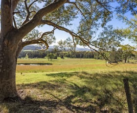 Rural / Farming commercial property for sale at 201 Coolangatta Road Far Meadow NSW 2535