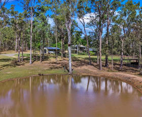 Rural / Farming commercial property for sale at 291 WALKERS FLAT ROAD Aramara QLD 4620