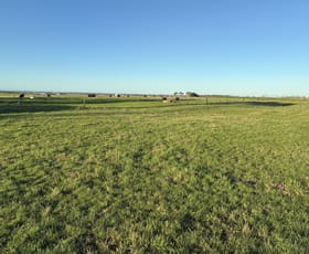Rural / Farming commercial property for sale at 26 Davey Point Road Montagu TAS 7330 Rural / Farming commercial property for sale at 26 Davey Point Road Montagu TAS 7330