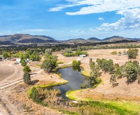 Rural / Farming commercial property for sale at 1675 New England Highway Kootingal NSW 2352