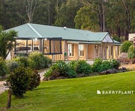 Rural / Farming commercial property for sale at 355 Forest Road Labertouche VIC 3816