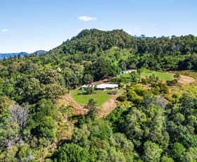 Rural / Farming commercial property for sale at 263 Darlington Range Road Canungra QLD 4275