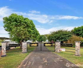 Rural / Farming commercial property for sale at 245 Gilmore Road Mareeba QLD 4880 Rural / Farming commercial property for sale at 245 Gilmore Road Mareeba QLD 4880