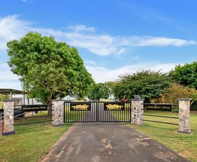 Rural / Farming commercial property for sale at 245 Gilmore Road Mareeba QLD 4880 Rural / Farming commercial property for sale at 245 Gilmore Road Mareeba QLD 4880