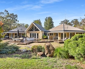 Rural / Farming commercial property for sale at 316 Stumpy Gully Road Balnarring VIC 3926