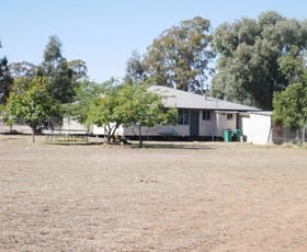Rural / Farming commercial property for sale at 929 Tara-Kogan Road Tara QLD 4421 Rural / Farming commercial property for sale at 929 Tara-Kogan Road Tara QLD 4421