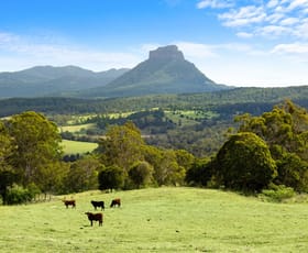 Rural / Farming commercial property for sale at 96 Coxs Road Sherwood NSW 2474 Rural / Farming commercial property for sale at 96 Coxs Road Sherwood NSW 2474