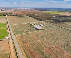 Rural / Farming commercial property for sale at 385 Toorak Road Yanco NSW 2703
