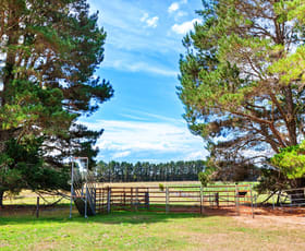 Rural / Farming commercial property for sale at 1149 Charleys Forest Braidwood NSW 2622