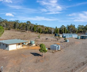 Rural / Farming commercial property for sale at 75 Walsh Road Mudgee NSW 2850