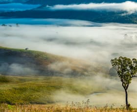 Rural / Farming commercial property for sale at 81 Kia Ora Hill Road, Bowman Farm VIA Gloucester NSW 2422