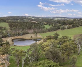 Rural / Farming commercial property for sale at 301 Whites Road Flaxley SA 5153 Rural / Farming commercial property for sale at 301 Whites Road Flaxley SA 5153