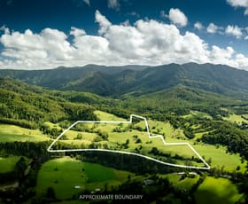 Rural / Farming commercial property for sale at 2791 Waterfall Way Thora NSW 2454