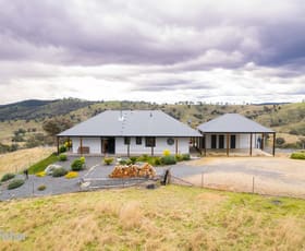 Rural / Farming commercial property sold at 1017 Gowan Road Orange NSW 2800