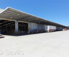 Factory, Warehouse & Industrial commercial property leased at W2 Osprey Drive Port Of Brisbane QLD 4178