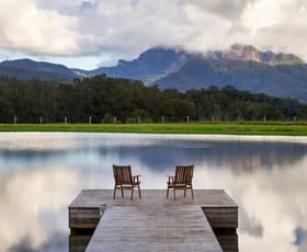 Rural / Farming commercial property for sale at 165 Limpinwood Valley Road Limpinwood NSW 2484