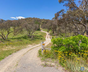 Rural / Farming commercial property sold at 1020 Mountain Creek Road Mullion NSW 2582