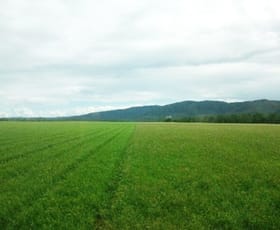 Rural / Farming commercial property for sale at Atherton QLD 4883