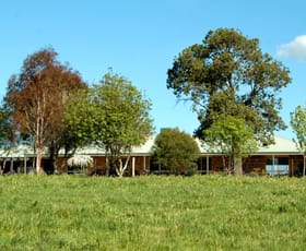 Rural / Farming commercial property sold at 1298 Burra Rd Gundagai NSW 2722