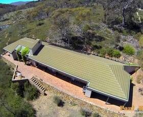 Rural / Farming commercial property sold at 1177 Captains Flat Road Carwoola NSW 2620
