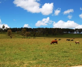 Rural / Farming commercial property sold at Ebor NSW 2453