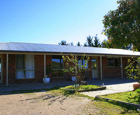 Rural / Farming commercial property sold at 138 Deloraine Lane Braidwood NSW 2622
