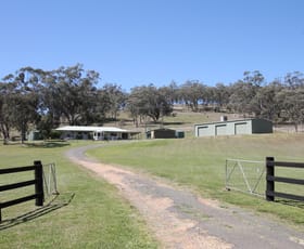 Rural / Farming commercial property sold at 657 Borambil Creek Road Willow Tree NSW 2339