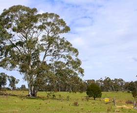 Rural / Farming commercial property sold at 404 Burden Drive Nerriga NSW 2622