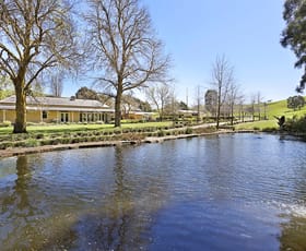 Rural / Farming commercial property sold at 217 Donaldsons Road Ancona VIC 3715