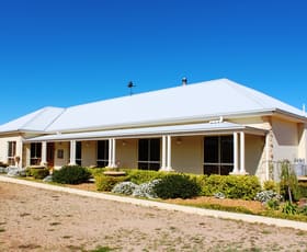 Rural / Farming commercial property sold at 2031 Limekilns Road Limekilns NSW 2795