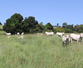 Rural / Farming commercial property sold at lot 79 corndale road Corndale QLD 4610