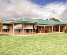 Rural / Farming commercial property sold at 1097 Warrah Creek Road Willow Tree NSW 2339