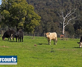Rural / Farming commercial property sold at 85 Paynter Road Neerim Junction VIC 3832