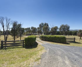 Rural / Farming commercial property sold at 495 Plains Road Hoskinstown NSW 2621