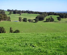 Rural / Farming commercial property sold at 221 Bowman Road Donnybrook WA 6239