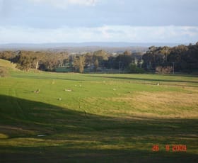 Rural / Farming commercial property sold at MUCKLEFORD GOWER LAND LOT 3 Muckleford VIC 3451