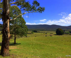 Rural / Farming commercial property sold at 464 Wyanbene Rd Wyanbene NSW 2622