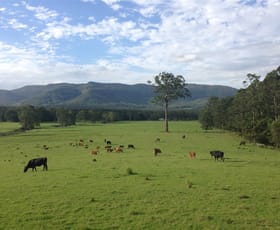 Rural / Farming commercial property sold at 259 Mt Scanzi Rd Kangaroo Valley NSW 2577