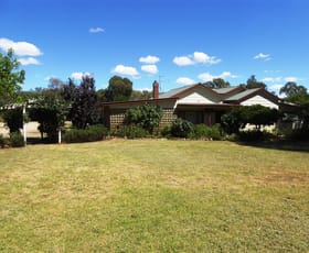 Rural / Farming commercial property sold at 2241 Holbrook - Wagga Rd Cookardinia NSW 2650