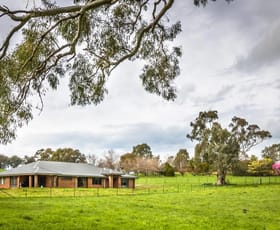 Rural / Farming commercial property sold at 5172 Muttama Road Cootamundra NSW 2590
