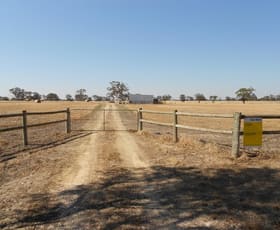 Rural / Farming commercial property sold at 12 Col Watson Road Mundulla SA 5270