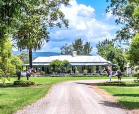 Rural / Farming commercial property sold at 117 Mount Vincent Road Mount Vincent NSW 2323