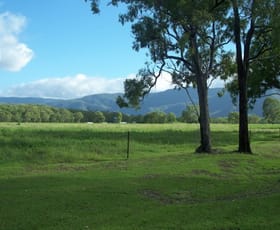 Rural / Farming commercial property sold at 133 East Mary Road Mount Carbine QLD 4871