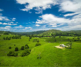 Rural / Farming commercial property sold at 969 Pinchin Road The Channon NSW 2480