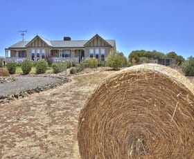 Rural / Farming commercial property sold at 483 Worlds End Highway Eudunda SA 5374