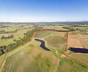 Rural / Farming commercial property sold at 352 Wilderness Road Lovedale NSW 2325