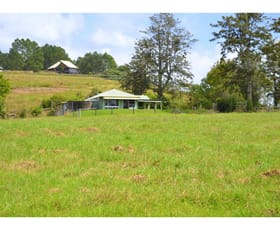 Rural / Farming commercial property sold at Rollands Plains NSW 2441