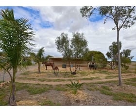 Rural / Farming commercial property sold at Lewiston SA 5501